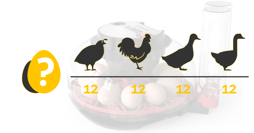 Snímka obrazovky 2026-01-28 o 18.51.24